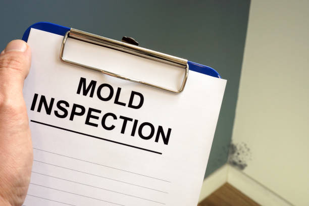 Best Mold Documentation for Insurance Claims  in Mclouth, KS